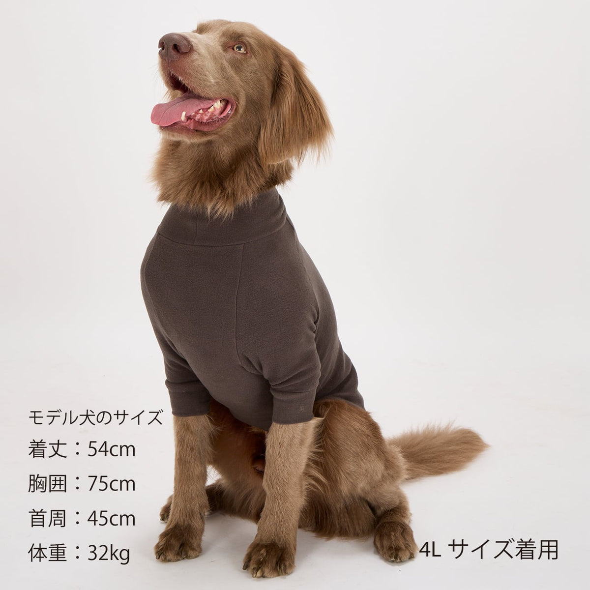 NEW マンダリンブラザーズ スキンタイトウォームTシャツ 秋 冬 防寒 ドッグウェア 犬服 男の子 女の子 おしゃれ MANDARINE BROTHERS