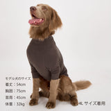 NEW マンダリンブラザーズ スキンタイトウォームTシャツ 秋 冬 防寒 ドッグウェア 犬服 男の子 女の子 おしゃれ MANDARINE BROTHERS