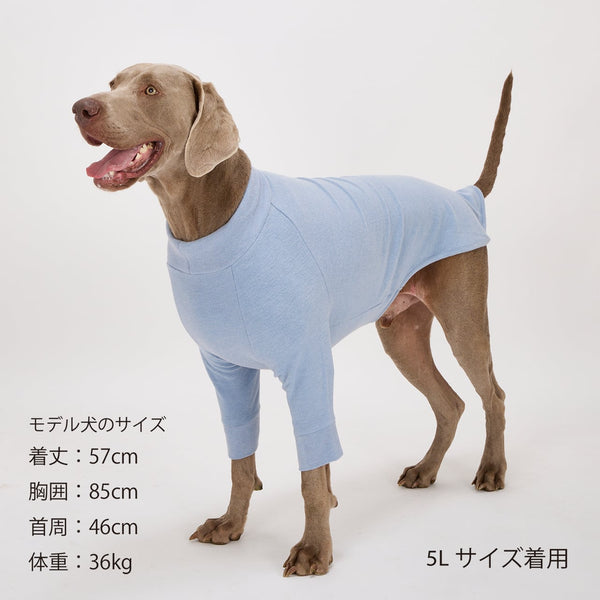 NEW マンダリンブラザーズ スキンタイトウォームTシャツ 秋 冬 防寒 ドッグウェア 犬服 男の子 女の子 おしゃれ MANDARINE BROTHERS