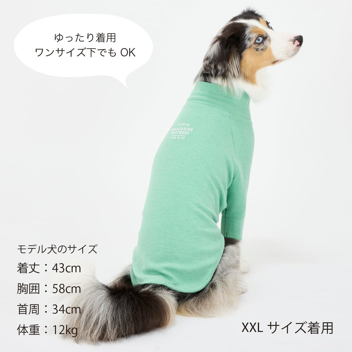 NEW マンダリンブラザーズ スキンタイトウォームTシャツ 秋 冬 防寒 ドッグウェア 犬服 男の子 女の子 おしゃれ MANDARINE BROTHERS