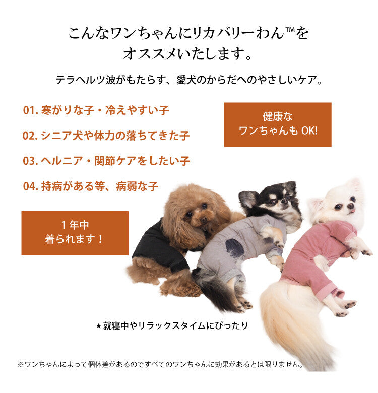 リカバリーわん リカバリーウェア 日本製 背中開きパジャマ テラヘルツ シニア犬 介護服 ロンパース ドッグウェア 犬服 男の子 女の子 おしゃれ クークチュール