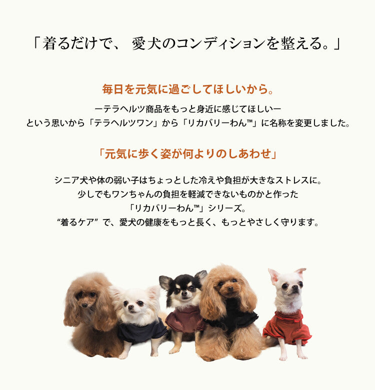 リカバリーわん リカバリーウェア 日本製 背中開きパジャマ テラヘルツ シニア犬 介護服 ロンパース ドッグウェア 犬服 男の子 女の子 おしゃれ クークチュール