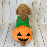 ウィズワン ハロウィン 犬 かぼちゃパンツ パンプキン ハロウィーン イベント 猫 犬服 おしゃれ 男の子 女の子 with WaN