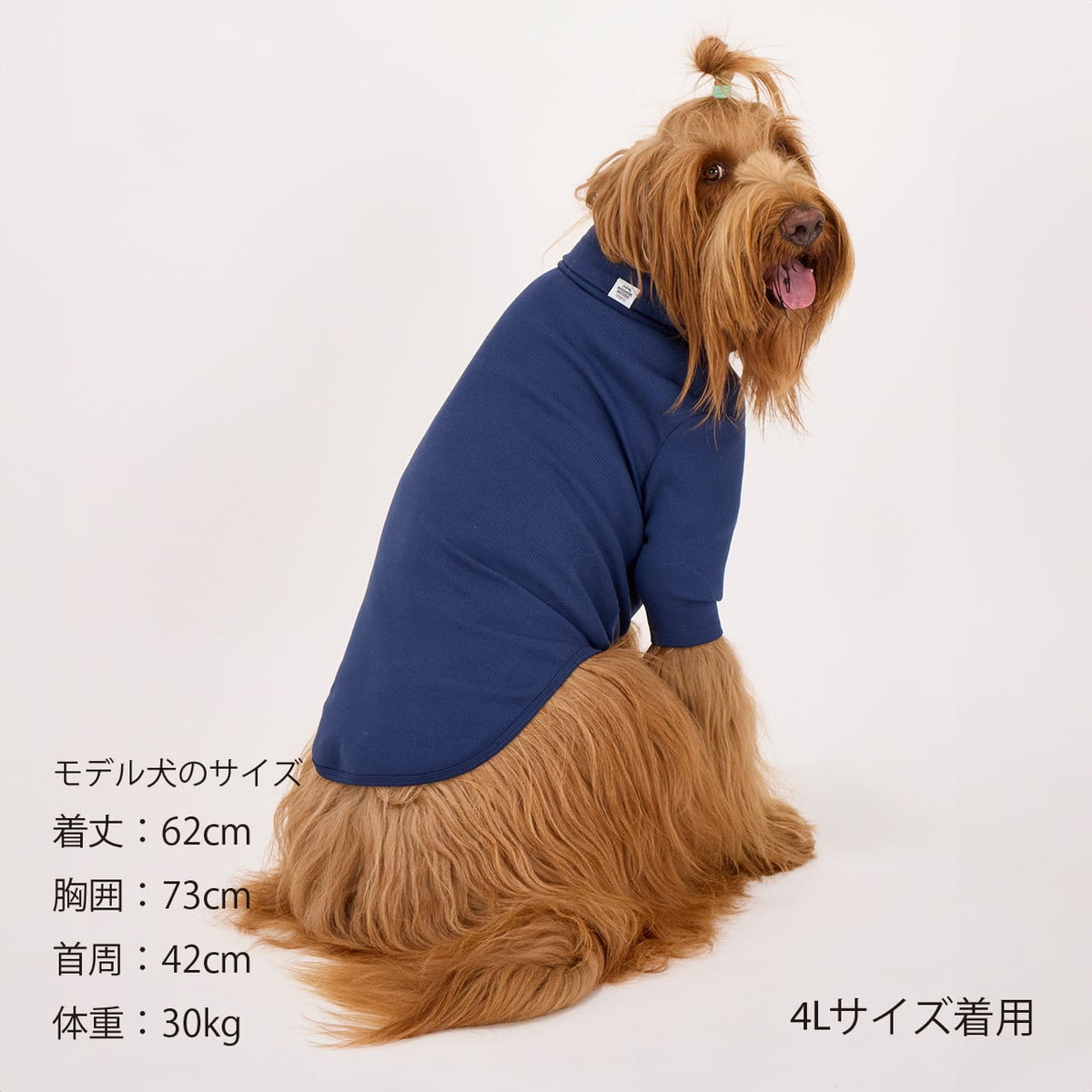 セール マンダリンブラザーズ ベーシックリブTシャツ 長袖 ドッグウェア 犬服 男の子 女の子 おしゃれ MANDARINE BROTHERS