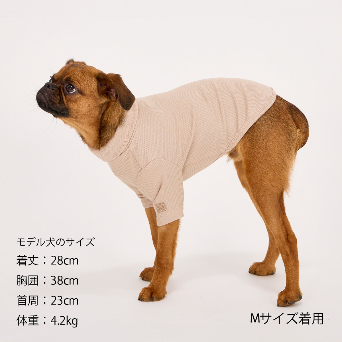 セール マンダリンブラザーズ ベーシックリブTシャツ 長袖 ドッグウェア 犬服 男の子 女の子 おしゃれ MANDARINE BROTHERS