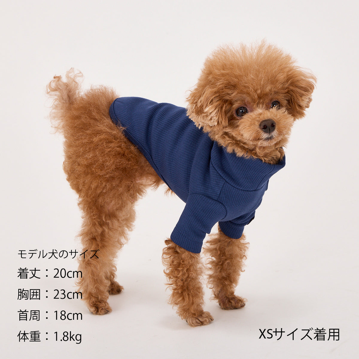 セール マンダリンブラザーズ ベーシックリブTシャツ 長袖 ドッグウェア 犬服 男の子 女の子 おしゃれ MANDARINE BROTHERS
