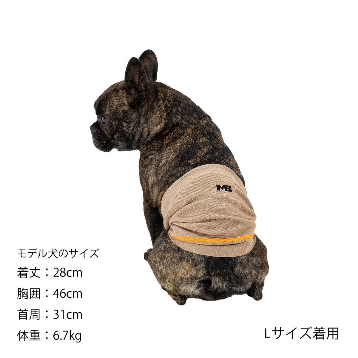 マンダリンブラザーズ はらまき ベリーウォーマー 腹巻 防寒 腸活 ドッグウェア 犬服 男の子 女の子 おしゃれ MANDARINE BROTHERS