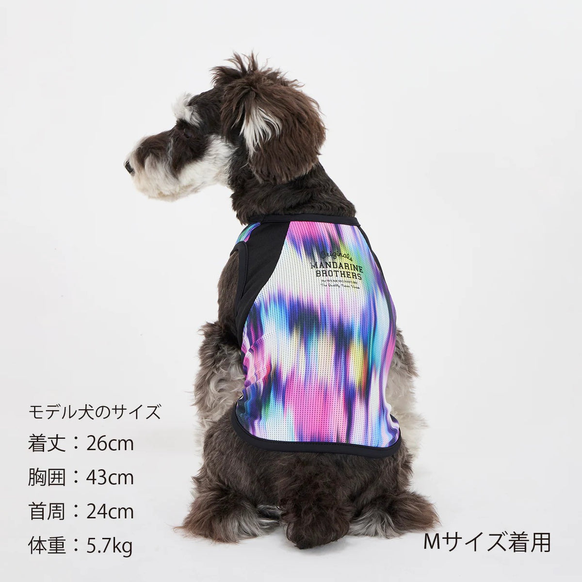 セール マンダリンブラザーズ 接触冷感 クールオーロラタンク 犬の服 クール タンク メッシュ ひんやり 夏服 ドッグウェア 犬服 男の子 女の子 おしゃれ MANDARINE BROTHERS