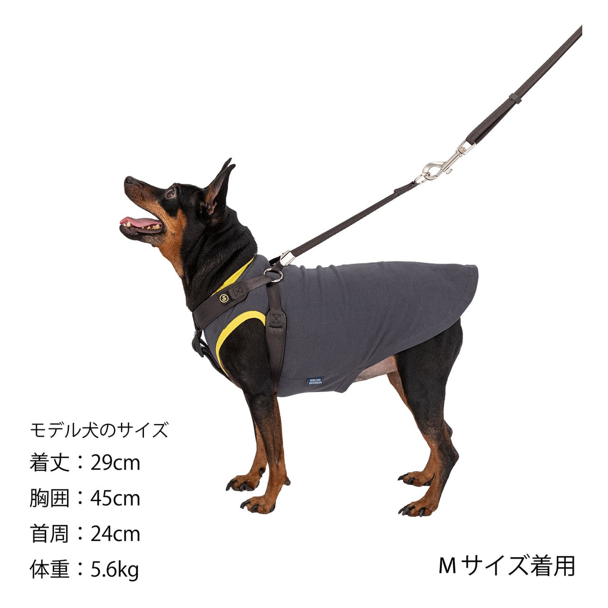 マンダリンブラザーズ クラシックハーネス 胴輪 犬 猫 男の子 女の子 おしゃれ MANDARINE BROTHERS ケア用品
