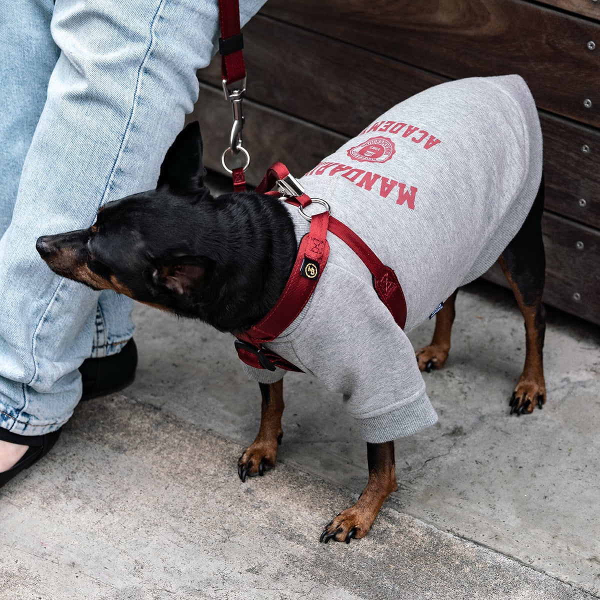 マンダリンブラザーズ クラシックハーネス 胴輪 犬 猫 男の子 女の子 おしゃれ MANDARINE BROTHERS ケア用品