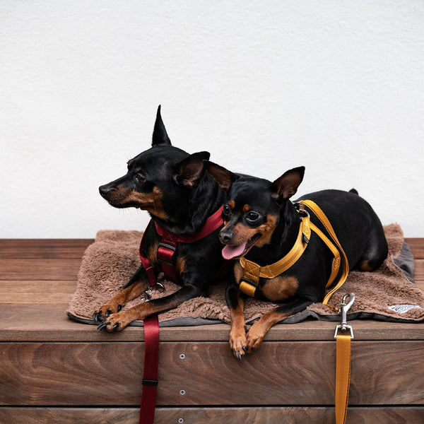 マンダリンブラザーズ クラシックハーネス 胴輪 犬 猫 男の子 女の子 おしゃれ MANDARINE BROTHERS ケア用品