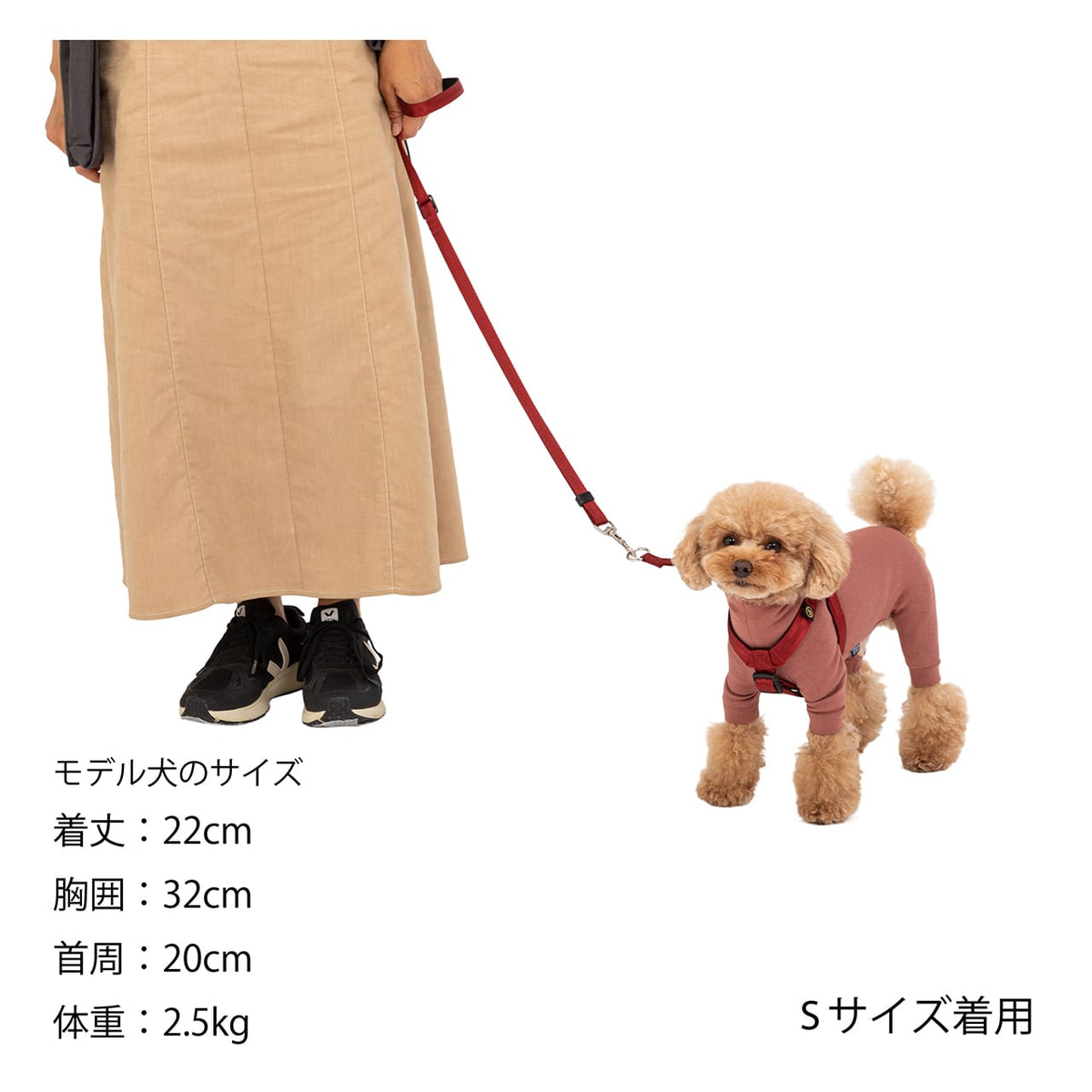 マンダリンブラザーズ クラシックハーネス 胴輪 犬 猫 男の子 女の子 おしゃれ MANDARINE BROTHERS ケア用品