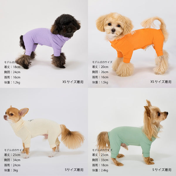 セール マンダリンブラザーズ 接触冷感 虫よけ インセクトシールドスキンタイトスーツ クール ロンパース ドッグウェア 犬服 男の子 女の子 おしゃれ MANDARINE BROTHERS