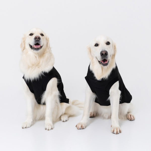 ジープ ロゴトレーナー スウェット 小型犬 中型犬 大型犬 犬 犬の服 ドッグウェア 犬服 男の子 女の子 おしゃれ Jeep