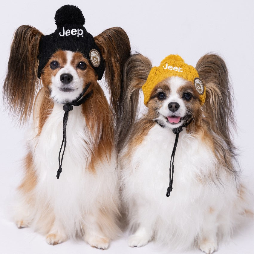ジープ ニット帽 防寒対策 ペット用 秋 冬 暖かい 犬の帽子ドッグウェア 犬服 男の子 女の子 おしゃれ JEEP メイン画像