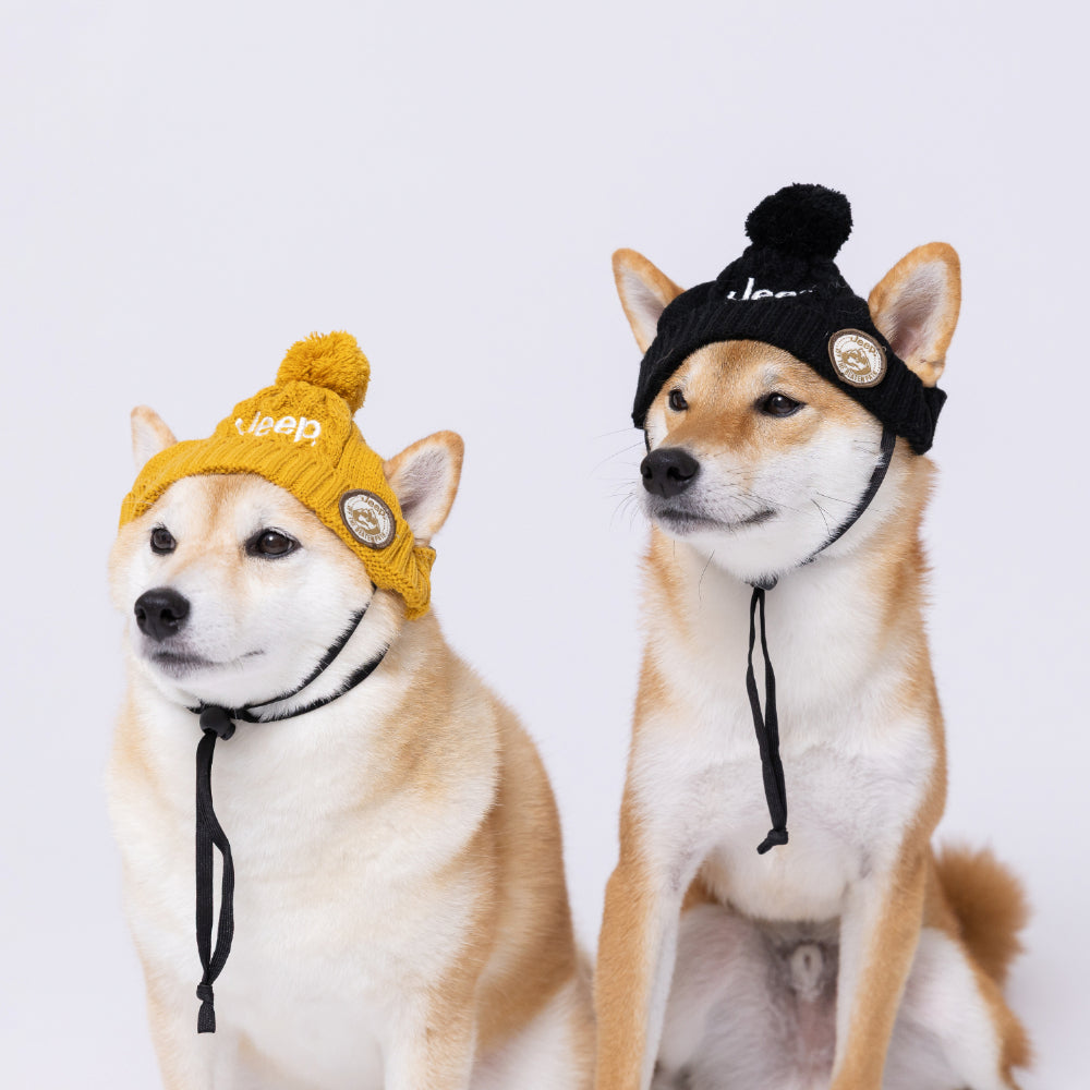 ジープ ニット帽 防寒対策 ペット用 秋 冬 暖かい 犬の帽子ドッグウェア 犬服 男の子 女の子 おしゃれ JEEP