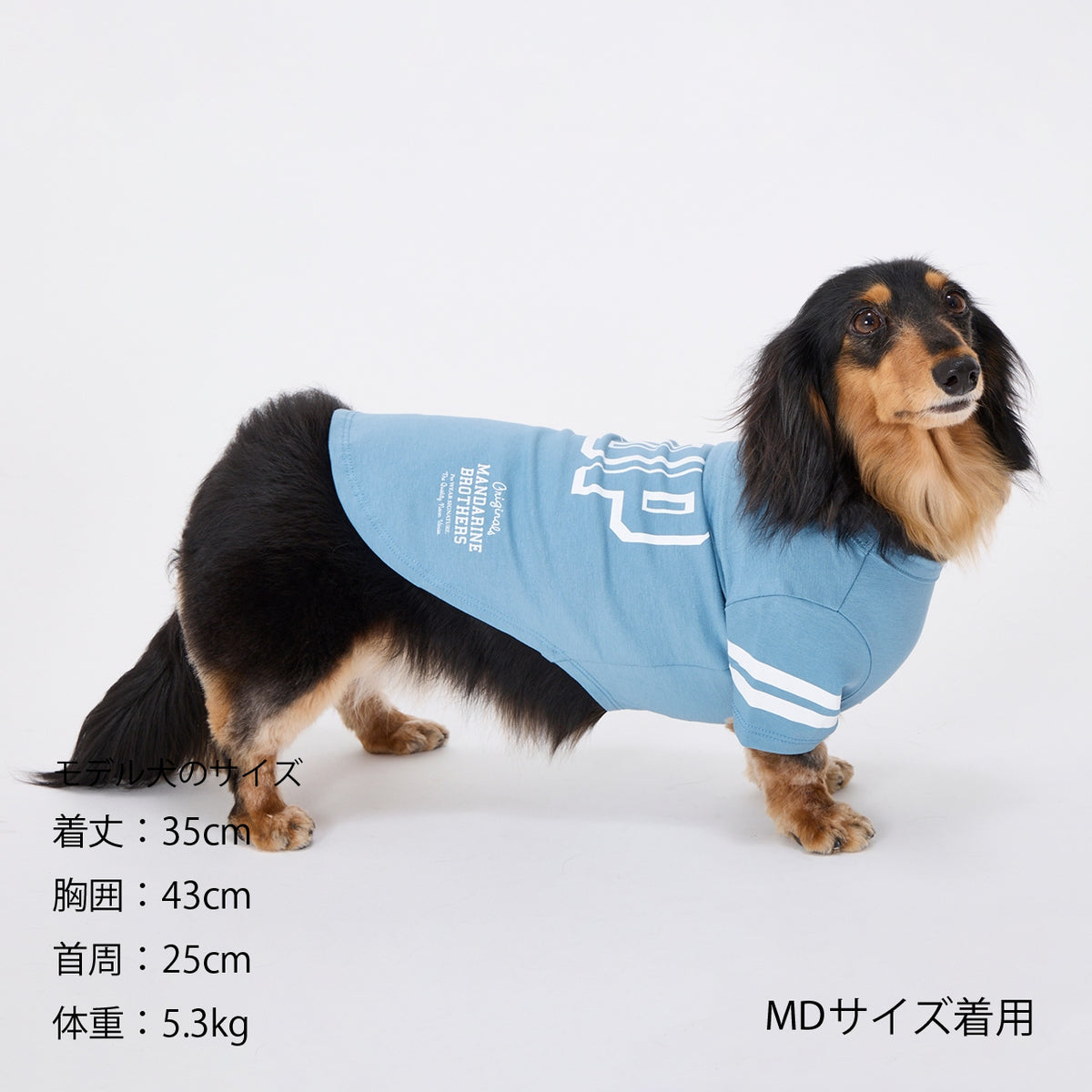 セール マンダリンブラザーズ 防虫 ロングスリーブTシャツ ドッグウェア 長袖 秋 冬 春 男の子 女の子 おしゃれ MANDARINE BROTHERS