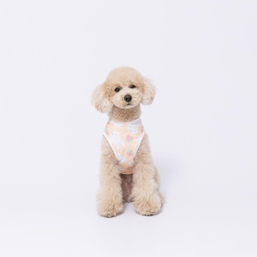 セール ミッフィー クールタンクトップ クール 犬 いぬ 犬服 男の子 女の子 おしゃれ ピーナッツ MIFFY miffy