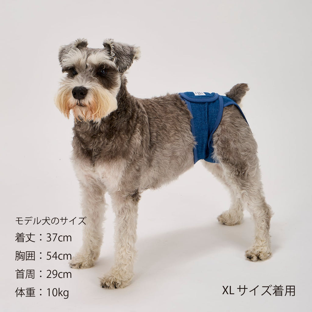 マンダリンブラザーズ マナーパンツ メス 女の子 パンツ ドッグウェア 犬服 犬 おしゃれ MANDARINE BROTHERS