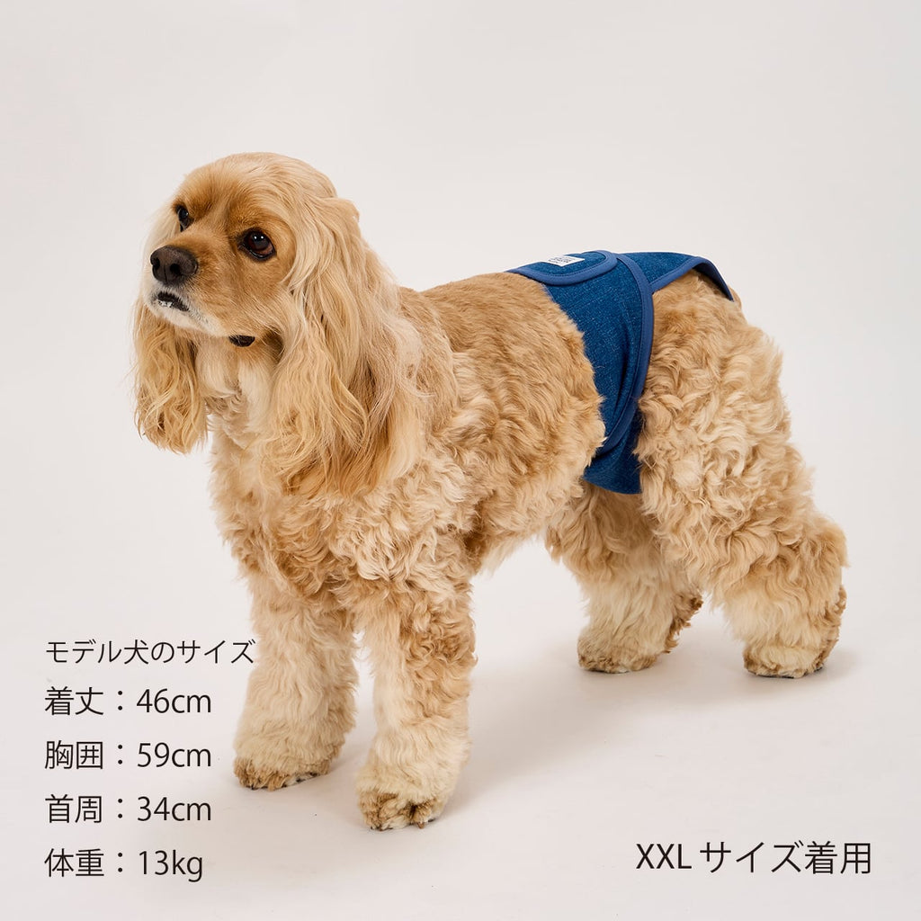 マンダリンブラザーズ マナーパンツ メス 女の子 パンツ ドッグウェア 犬服 犬 おしゃれ MANDARINE BROTHERS