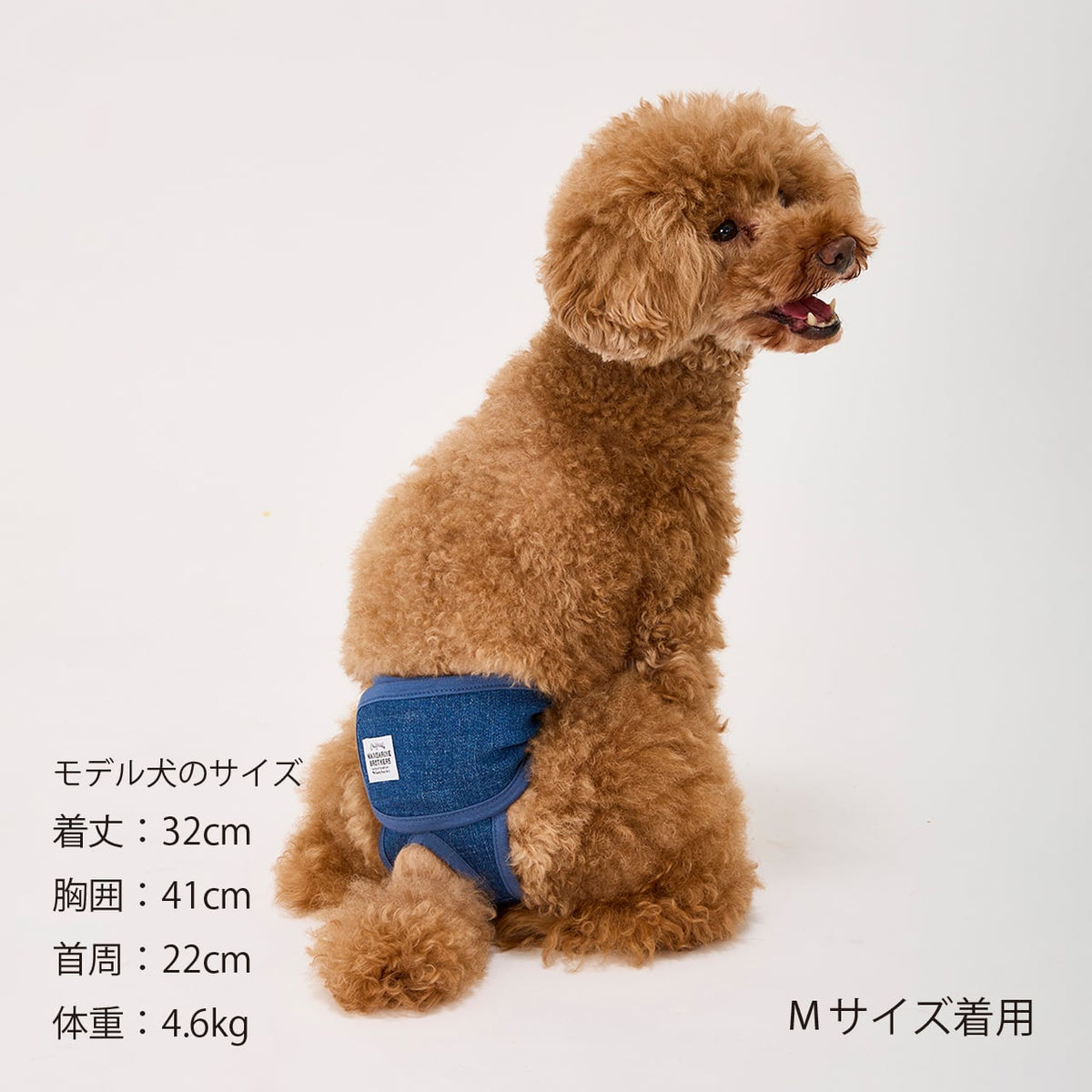 マンダリンブラザーズ マナーパンツ メス 女の子 パンツ ドッグウェア 犬服 犬 おしゃれ MANDARINE BROTHERS