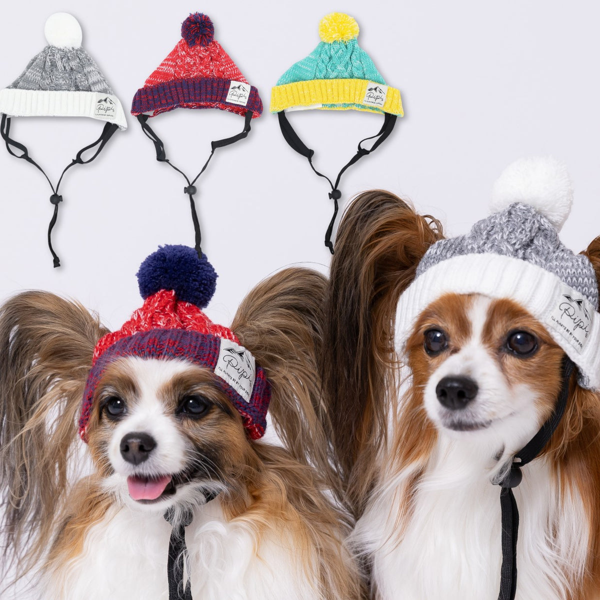 ピピ ニット帽 防寒対策 ペット用 秋 冬 暖かい 犬の帽子ドッグウェア 犬服 男の子 女の子 おしゃれ PIPI メイン画像