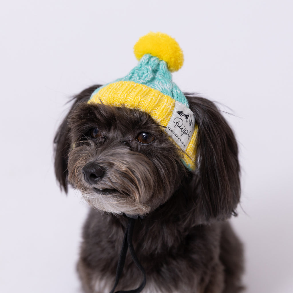ピピ ニット帽 防寒対策 ペット用 秋 冬 暖かい 犬の帽子ドッグウェア 犬服 男の子 女の子 おしゃれ PIPI