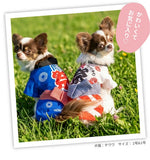 ピピ お祭りはっぴ 小型犬 中型犬 夏祭り ゆかた 浴衣 法被 イベント ペット 春夏服 ドッグウェア 着脱簡単 犬服 男の子 女の子 おしゃれ PIPI