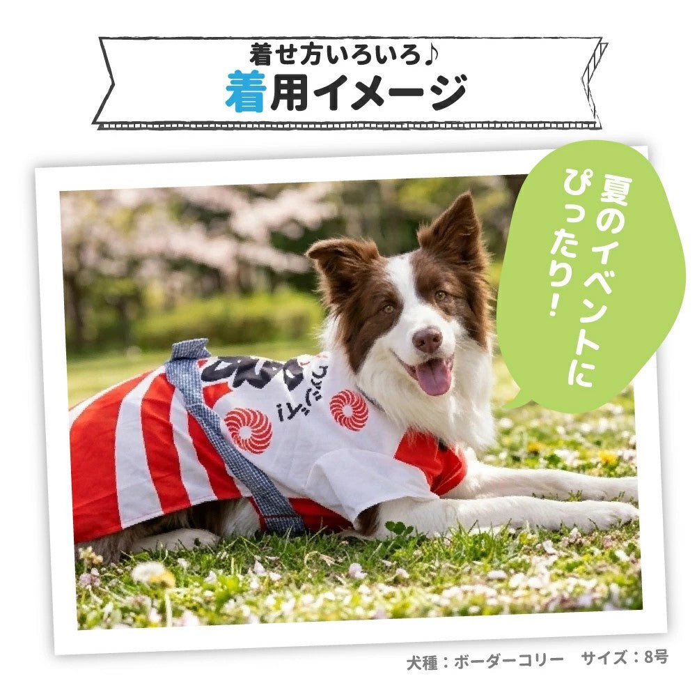 セール ピピ お祭りはっぴ 中型犬 大型犬 夏祭り ゆかた 浴衣 法被 イベント ペット 春夏服 ドッグウェア 着脱簡単 犬服 男の子 女の子 おしゃれ PIPI