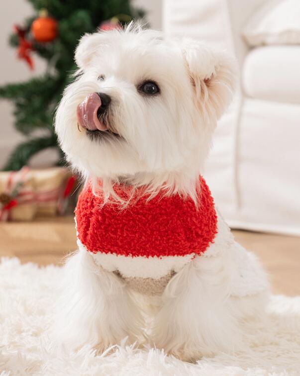 ウィズワン クリスマス 犬服 サンタクロース コスチューム あたたかい コスプレ イベント 猫 犬 おしゃれ 男の子 女の子 with WaN