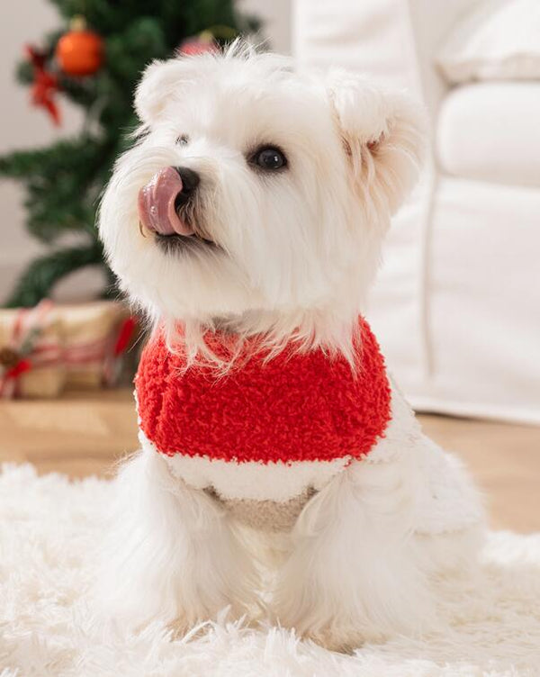 ウィズワン クリスマス 犬服 サンタクロース コスチューム あたたかい コスプレ イベント 猫 犬 おしゃれ 男の子 女の子 with WaN