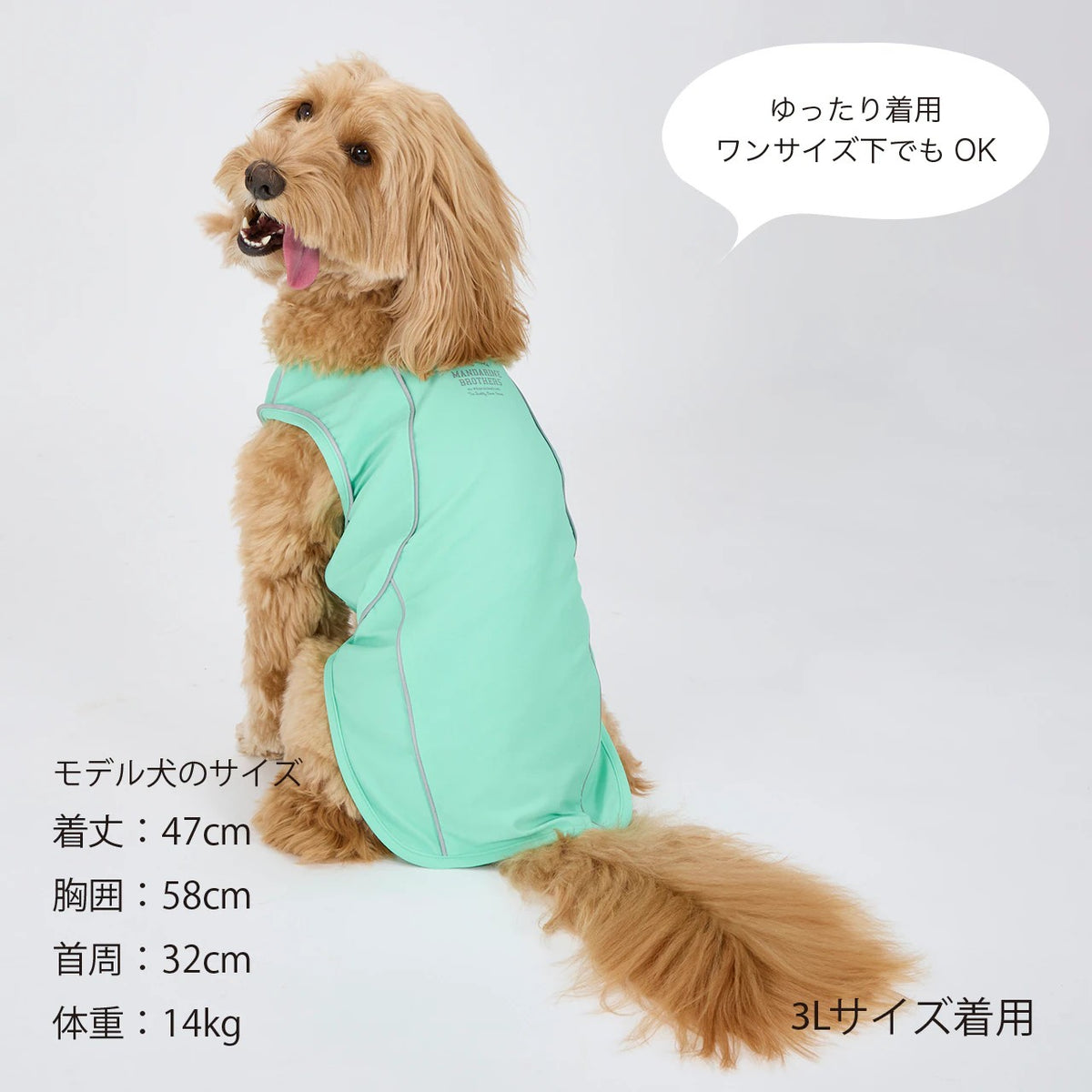 セール マンダリンブラザーズ 夜散歩 接触冷感 リフレクティブTシャツ 夏服 リフレクター UPF50+ ひんやり ドッグウェア 犬服 男の子 女の子 おしゃれ MANDARINE BROTHERS