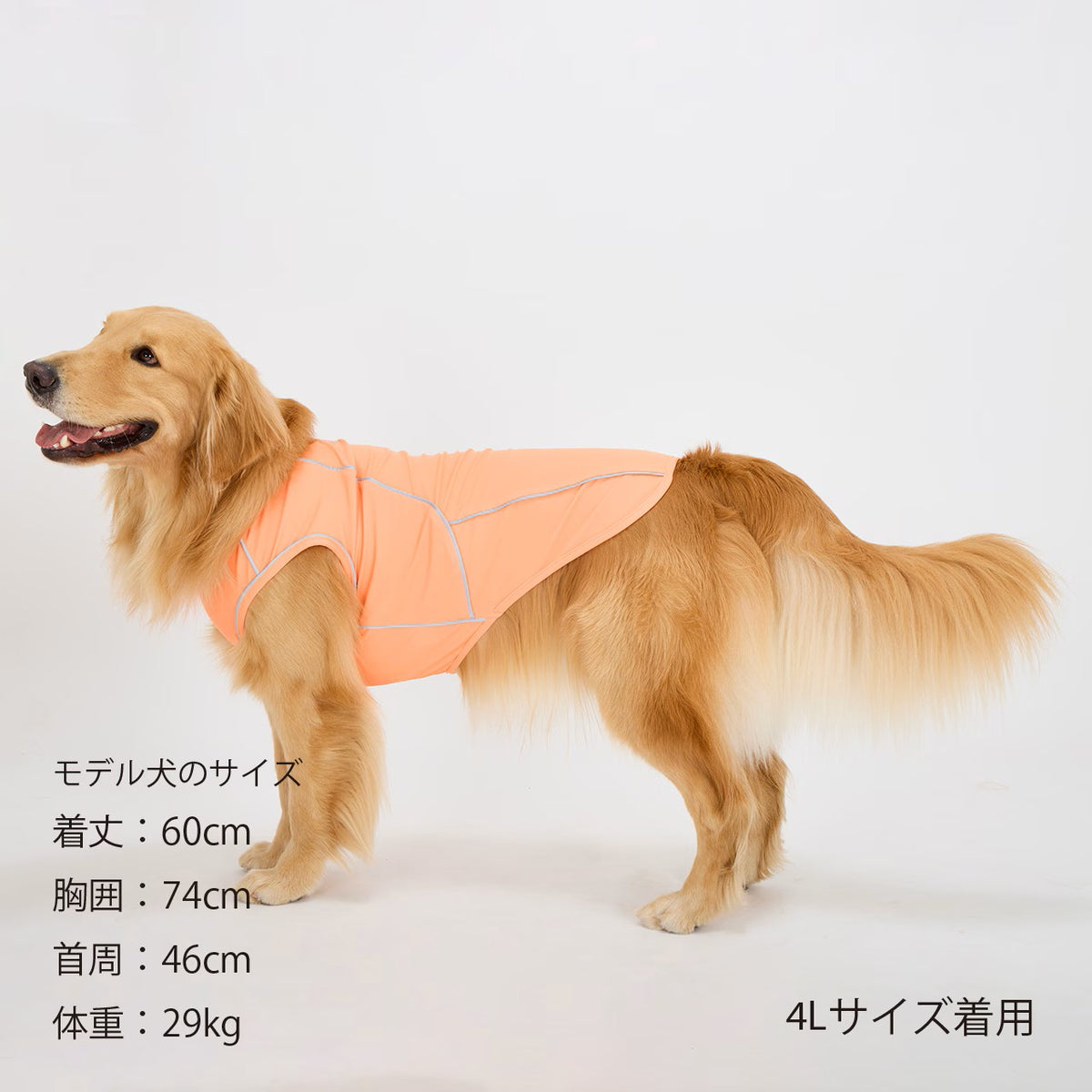 セール マンダリンブラザーズ 夜散歩 接触冷感 リフレクティブTシャツ 夏服 リフレクター UPF50+ ひんやり ドッグウェア 犬服 男の子 女の子 おしゃれ MANDARINE BROTHERS