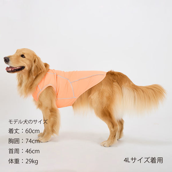 セール マンダリンブラザーズ 夜散歩 接触冷感 リフレクティブTシャツ 夏服 リフレクター UPF50+ ひんやり ドッグウェア 犬服 男の子 女の子 おしゃれ MANDARINE BROTHERS