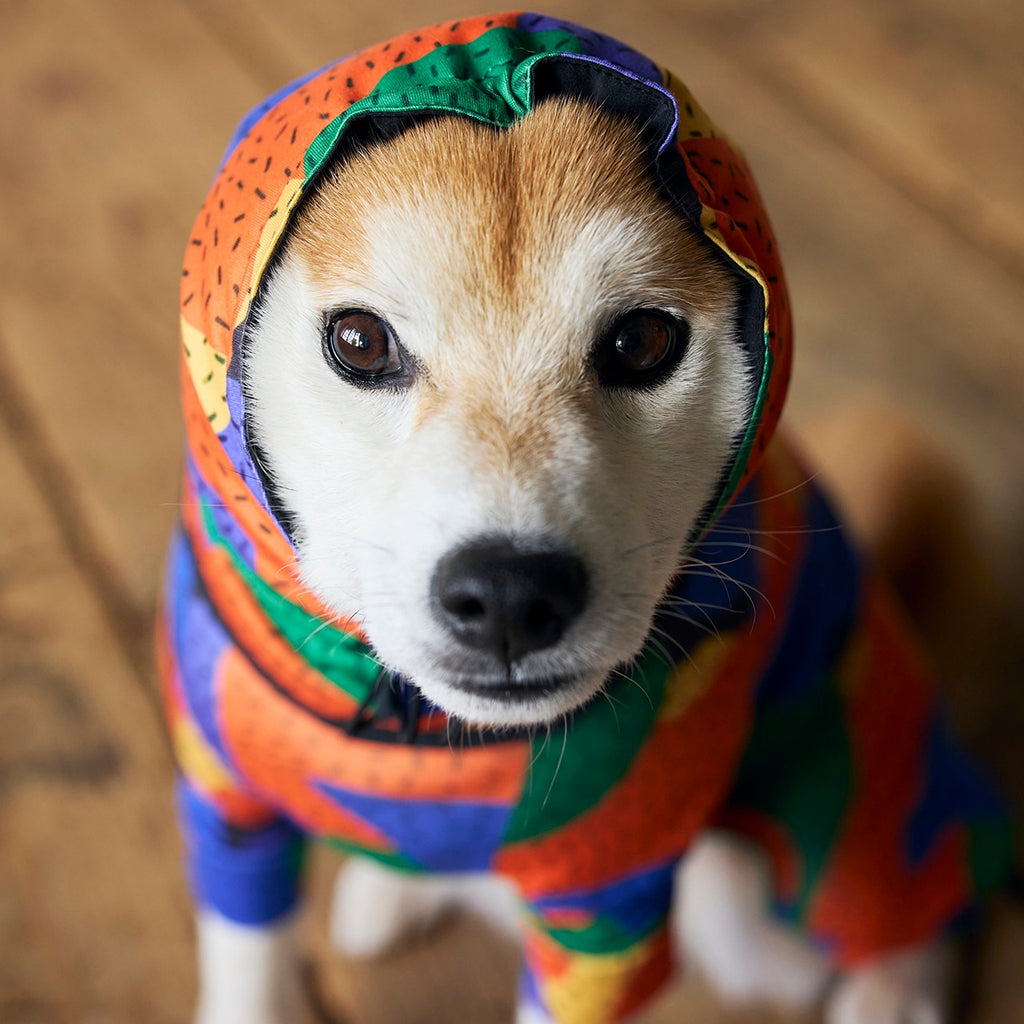 セール マンダリンブラザーズ リバーシブルスヌード 汚れ防止対策 防寒対策 ドッグウェア 犬服 男の子 女の子 おしゃれ MANDARINE BROTHERS