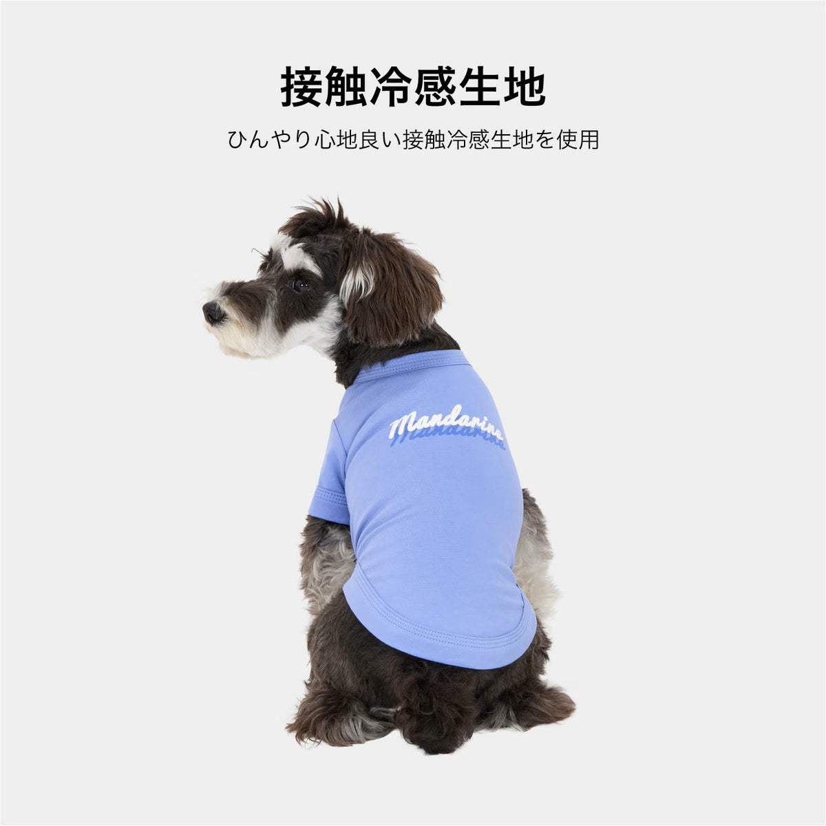 セール マンダリンブラザーズ 接触冷感 防虫 シャドウロゴクールTシャツ おしゃれ 夏服 虫よけ クールシャツ ひんやり ドッグウェア 犬服 男の子 女の子 おしゃれ MANDARINE BROTHERS