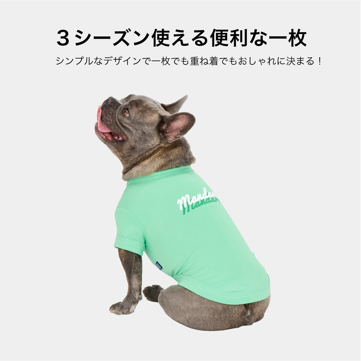 セール マンダリンブラザーズ 接触冷感 防虫 シャドウロゴクールTシャツ おしゃれ 夏服 虫よけ クールシャツ ひんやり ドッグウェア 犬服 男の子 女の子 おしゃれ MANDARINE BROTHERS