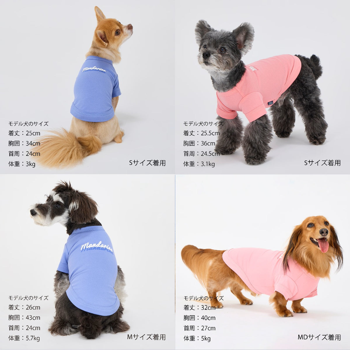 セール マンダリンブラザーズ 接触冷感 防虫 シャドウロゴクールTシャツ おしゃれ 夏服 虫よけ クールシャツ ひんやり ドッグウェア 犬服 男の子 女の子 おしゃれ MANDARINE BROTHERS