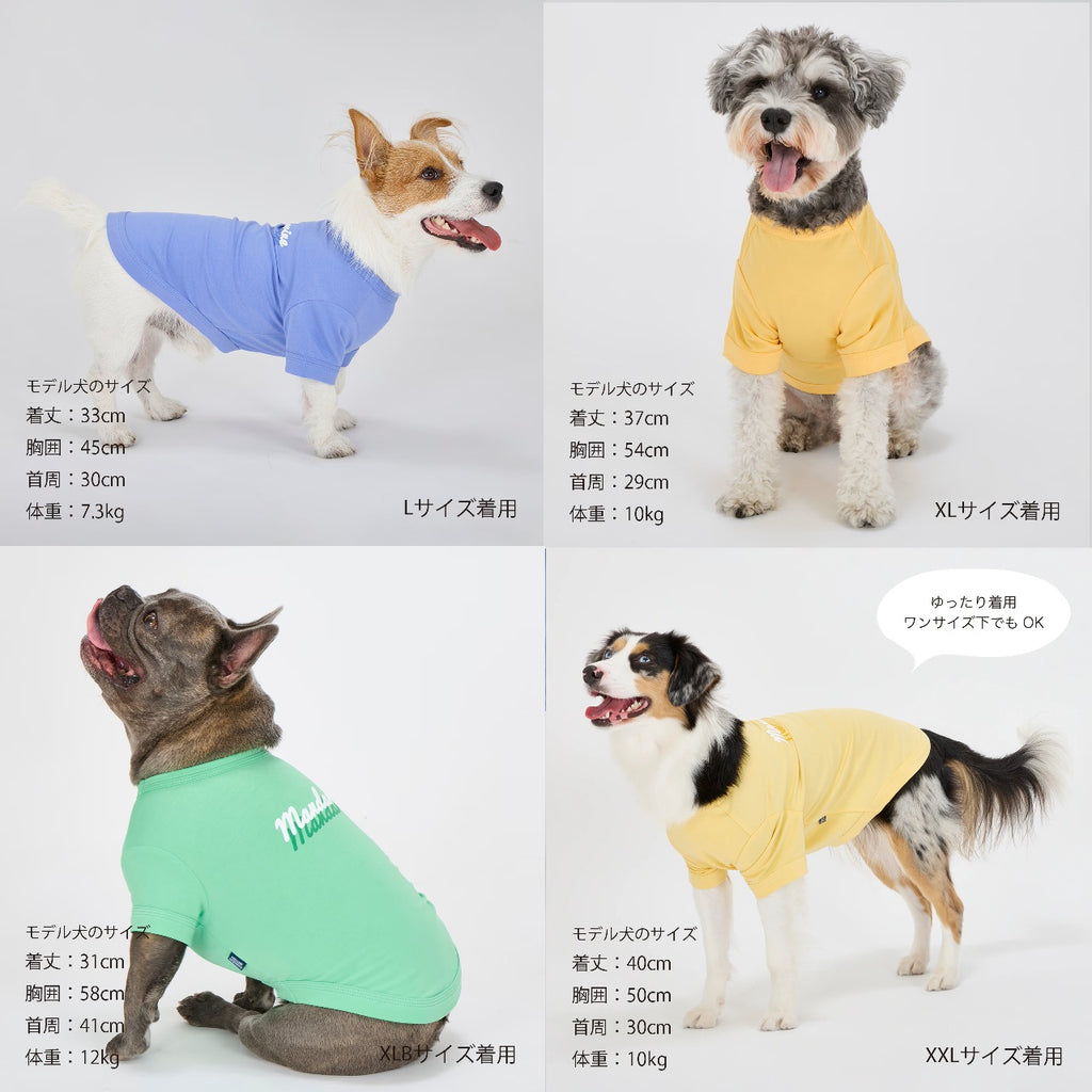セール マンダリンブラザーズ 接触冷感 防虫 シャドウロゴクールTシャツ おしゃれ 夏服 虫よけ クールシャツ ひんやり ドッグウェア 犬服 男の子 女の子 おしゃれ MANDARINE BROTHERS