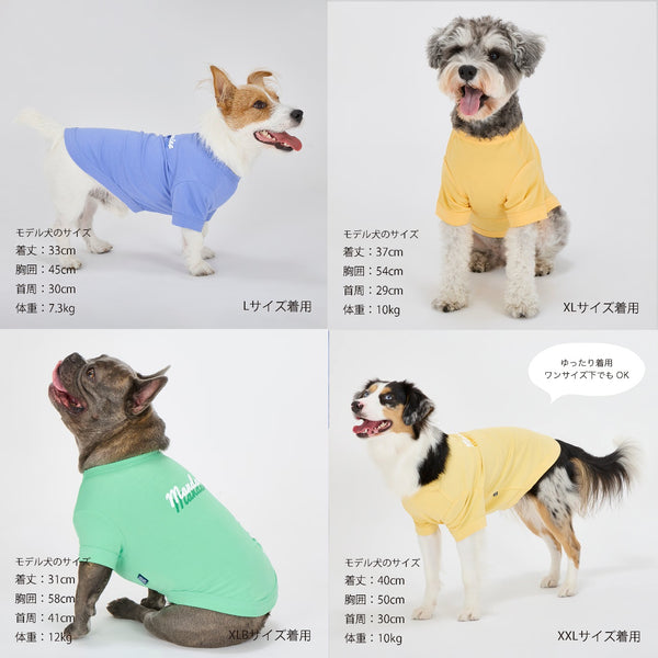 セール マンダリンブラザーズ 接触冷感 防虫 シャドウロゴクールTシャツ おしゃれ 夏服 虫よけ クールシャツ ひんやり ドッグウェア 犬服 男の子 女の子 おしゃれ MANDARINE BROTHERS