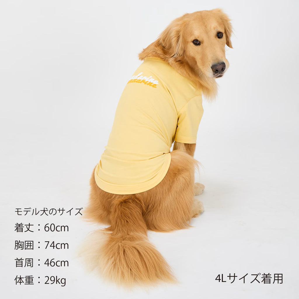 セール マンダリンブラザーズ 接触冷感 防虫 シャドウロゴクールTシャツ おしゃれ 夏服 虫よけ クールシャツ ひんやり ドッグウェア 犬服 男の子 女の子 おしゃれ MANDARINE BROTHERS