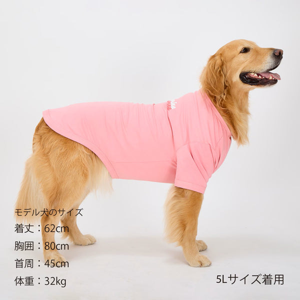 セール マンダリンブラザーズ 接触冷感 防虫 シャドウロゴクールTシャツ おしゃれ 夏服 虫よけ クールシャツ ひんやり ドッグウェア 犬服 男の子 女の子 おしゃれ MANDARINE BROTHERS