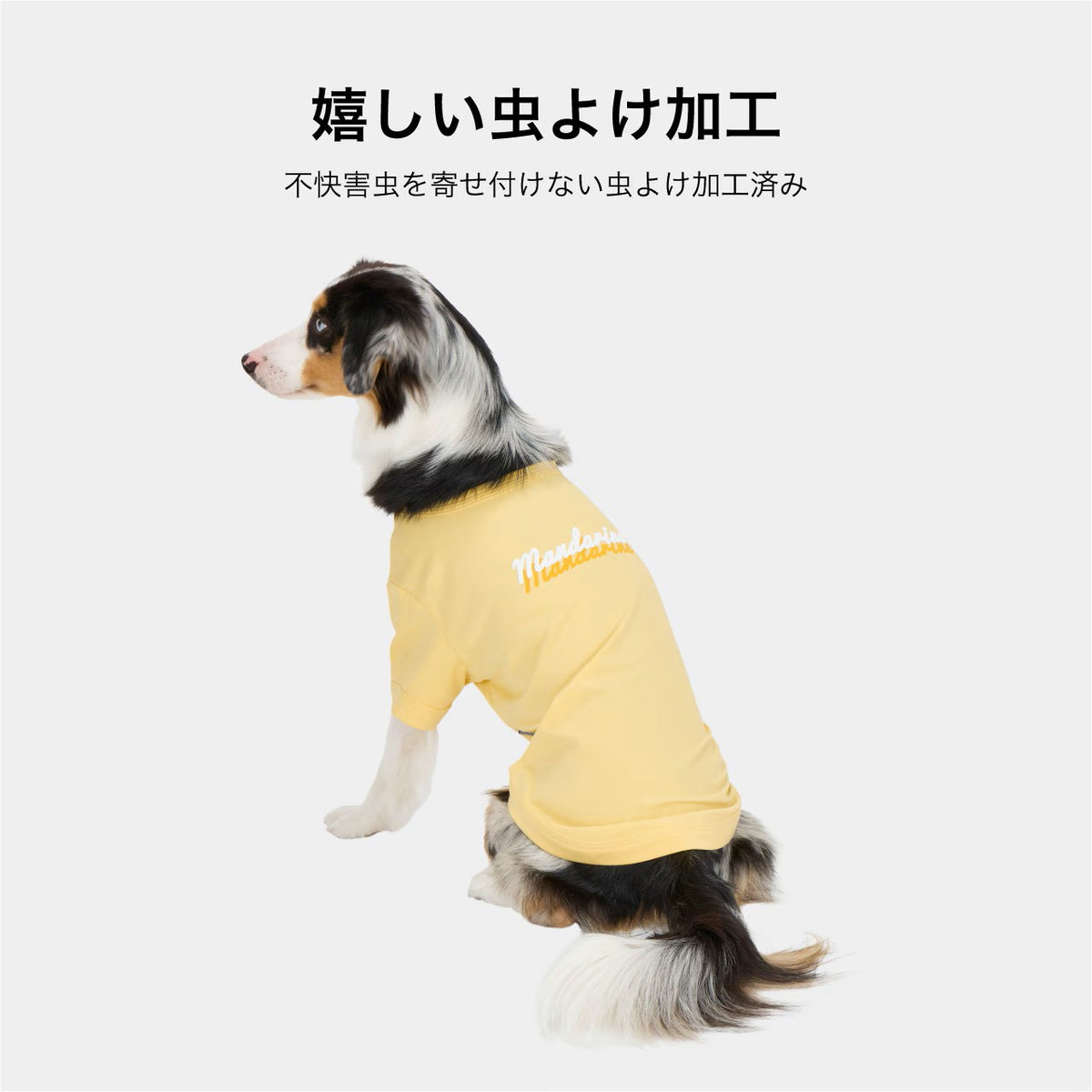 セール マンダリンブラザーズ 接触冷感 防虫 シャドウロゴクールTシャツ おしゃれ 夏服 虫よけ クールシャツ ひんやり ドッグウェア 犬服 男の子 女の子 おしゃれ MANDARINE BROTHERS