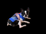 スヌーピー はっぴ 小型犬 中型犬 夏祭り ゆかた 浴衣 法被 イベント ペット 春夏服 ドッグウェア 着脱簡単 犬服 男の子 女の子 おしゃれ PEANUTS