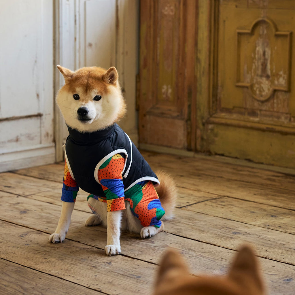 マンダリンブラザーズ スキンタイトスーツマルチプリント UVカット ロンパース つなぎ ドッグウェア 犬服 男の子 女の子 おしゃれ MANDARINE BROTHERS