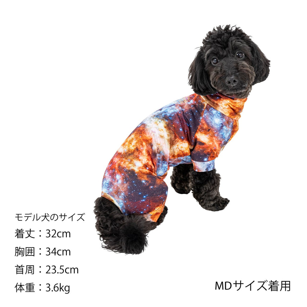 マンダリンブラザーズ スキンタイトスーツマルチプリント UVカット ロンパース つなぎ ドッグウェア 犬服 男の子 女の子 おしゃれ MANDARINE BROTHERS