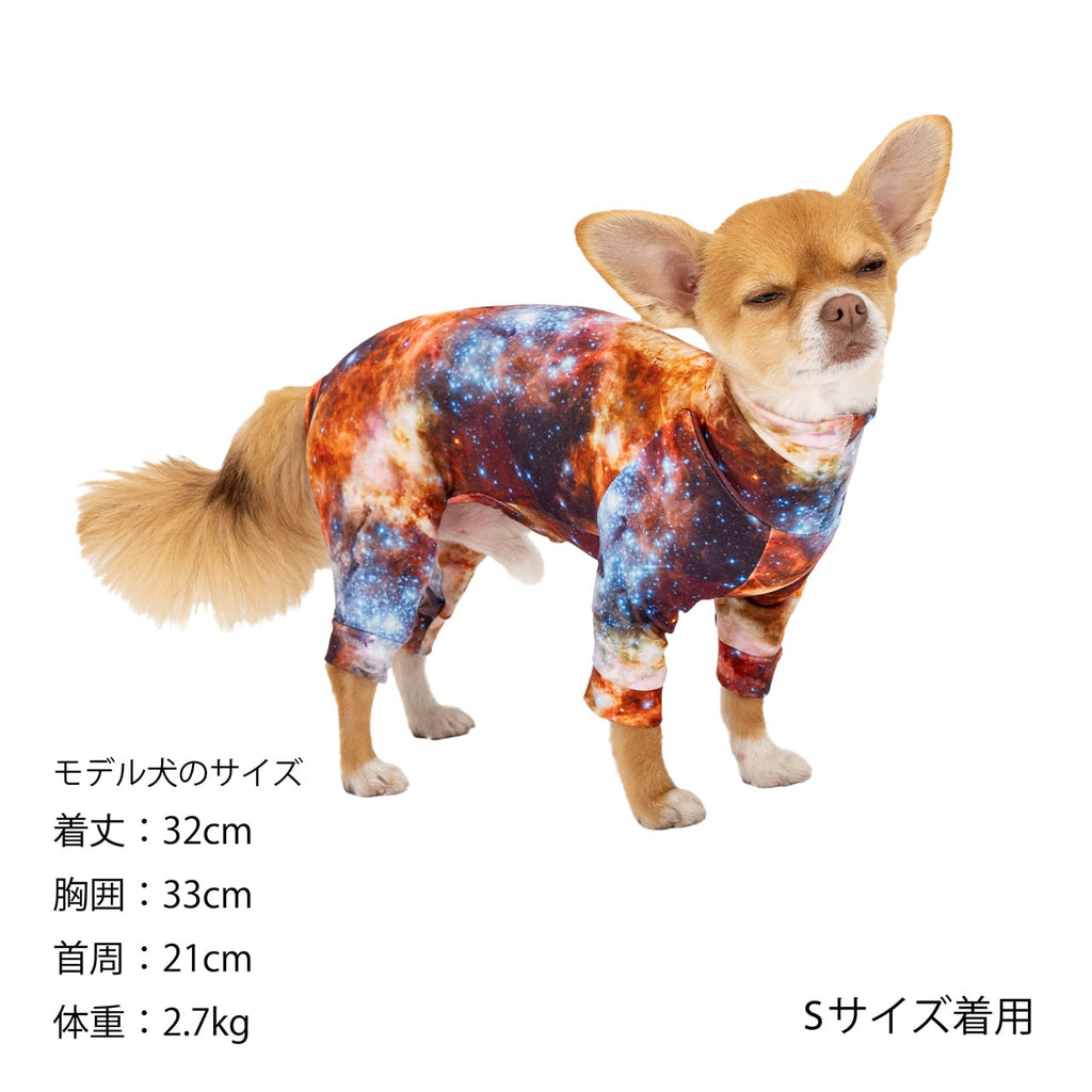 マンダリンブラザーズ スキンタイトスーツマルチプリント UVカット ロンパース つなぎ ドッグウェア 犬服 男の子 女の子 おしゃれ MANDARINE BROTHERS