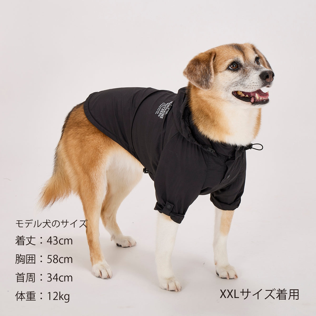 セール マンダリンブラザーズ 撥水加工 ウィンドブレーカー フード ドッグウェア 防寒 アウター 雨具 軽量 男の子 女の子 おしゃれ MANDARINE BROTHERS