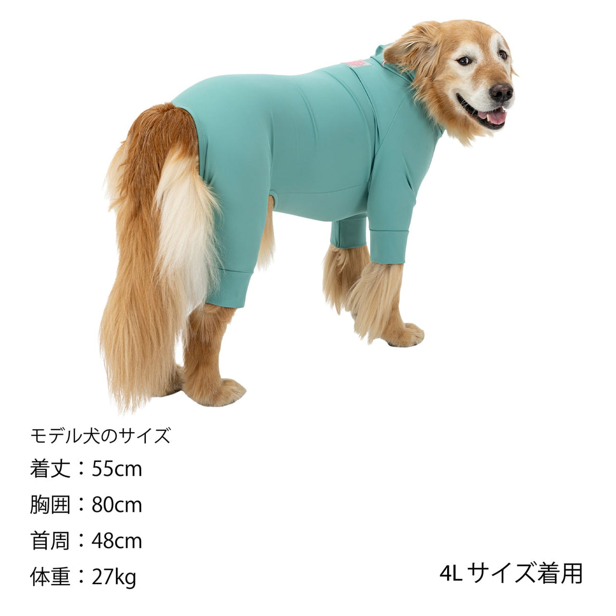 マンダリンブラザーズ 撥水 UVカット ウォーターリペレントスキンタイトスーツ ロンパース ドッグウェア ラッシュガード 犬服 男の子 女の子 おしゃれ MANDARINE BROTHERS
