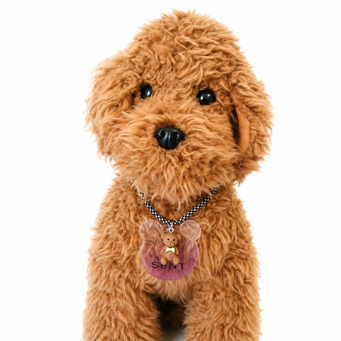 ウィズワン うちの子 名前入り チョーカー 迷子札 くま テディベア ハンドメイド アクセサリー 犬 猫 男の子 女の子 おしゃれ with WaN